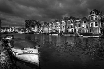 De Rijn, Leiden van Jens Korte