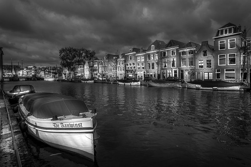 De Rijn, Leiden by Jens Korte