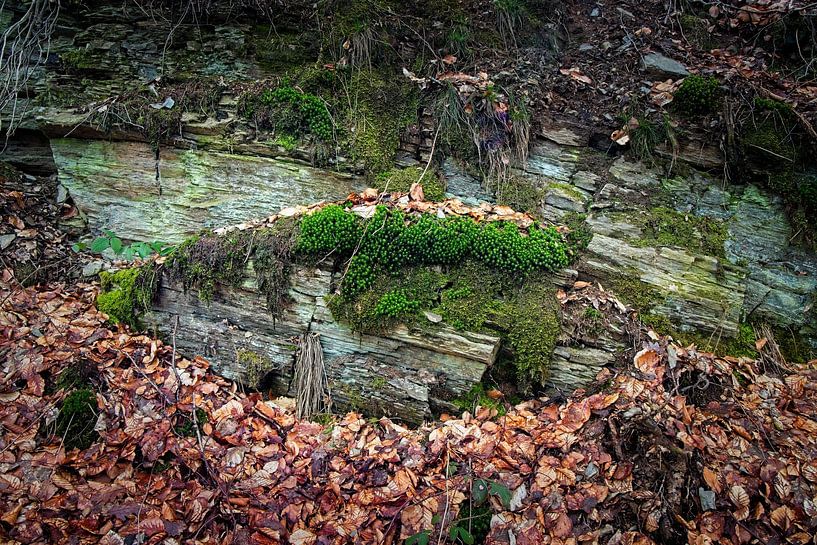 Natural stone @ Barrage de la Gileppe by Rob Boon