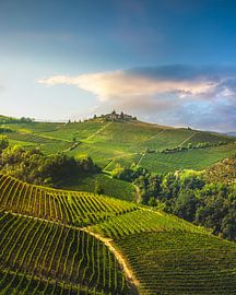 Weinberge auf den Hügeln der Langhe am Morgen, Piemont von Stefano Orazzini