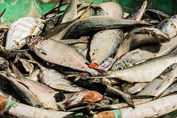 Leuk voor in de keuken.