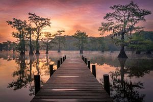 Morning at the lake sur Edwin Mooijaart