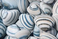 Striped shells in different shades of blue and brown by Marjolijn van den Berg thumbnail