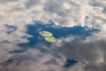 Mooie wolken  reflecties op het meer Övre Brocken in Värmlands Zweden van Henk Hulshof