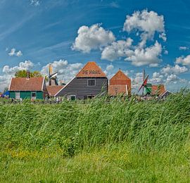 Käserei Zaanse Schans, Zaandam, , Nordholland, Niederlande, von Rene van der Meer