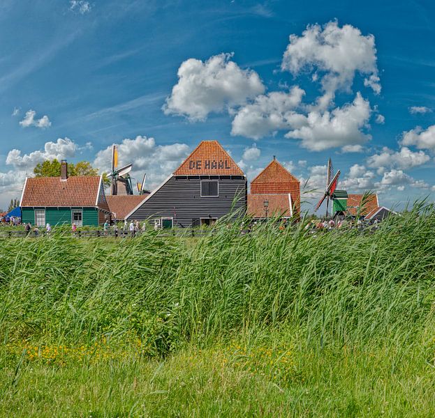 Cheese farm Zaanse Schans, Zaandam, , North Holland, Netherlands, by Rene van der Meer