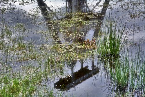 Wasserpfütze mit Spiegelung