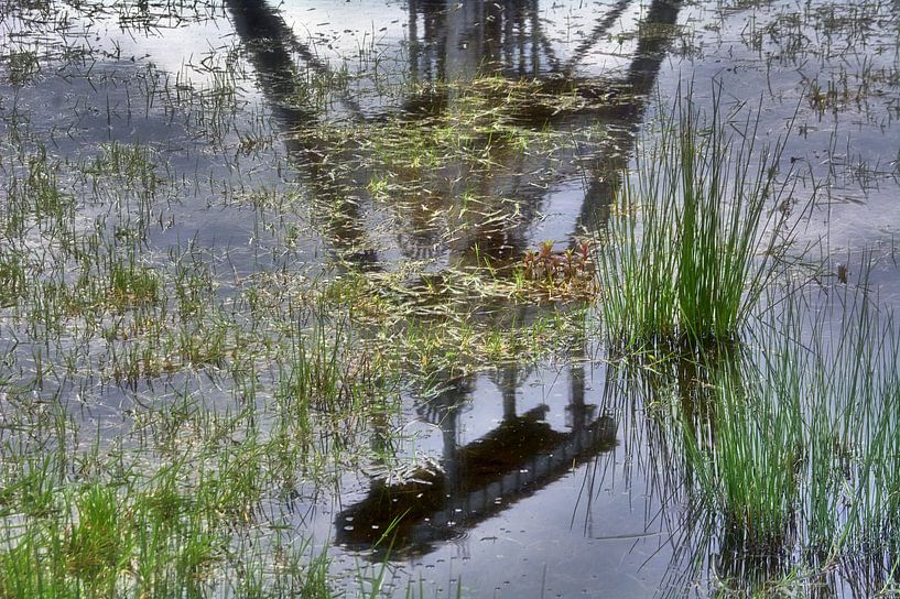Waterplas met reflectie van Edgar Schermaul