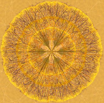 Grafische mandala geel van Rietje Bulthuis
