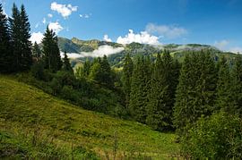 Landscape near Embach in Salzburger Land by Alexander Ließ