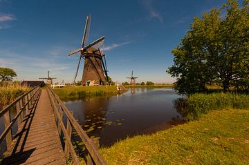 Kinderdijk .Holland Windmills
