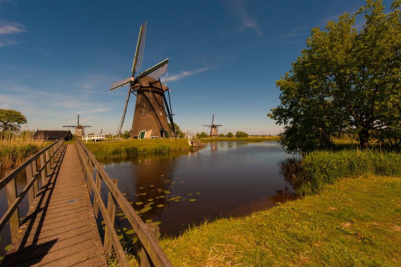 Kinderdijk .Holland Windmills von Brian Morgan