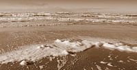 Beach of Zandvoort