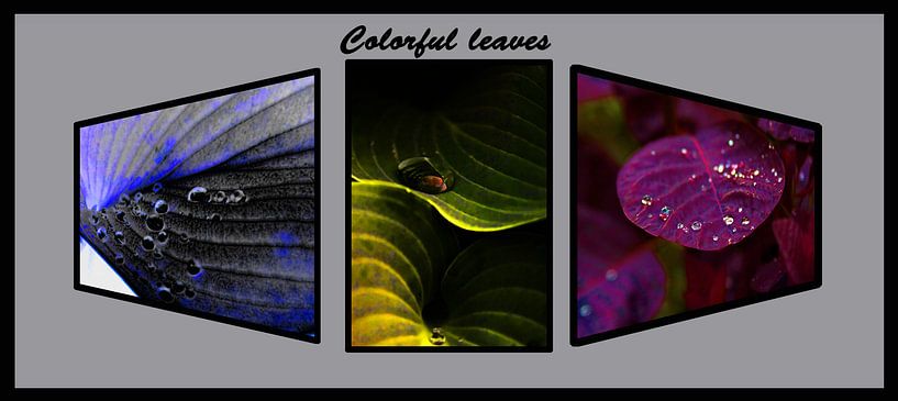 3luik genaamd colorful leaves by foto-fantasie foto-fantasie