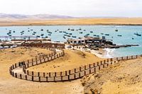 Vissershaven van Lagunillas, Reserva Nacional Paracas - Peru