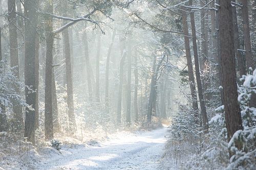 Een zonnige, winterse ochtend