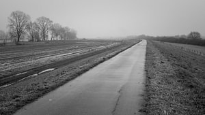 Radweg auf dem Flussdeich
