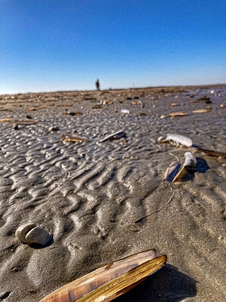 The Beach and me by Truckpowerr