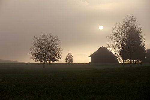 Herbstlicht
