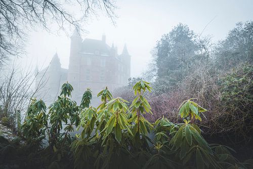 Kasteel Heeswijk in de wintermist