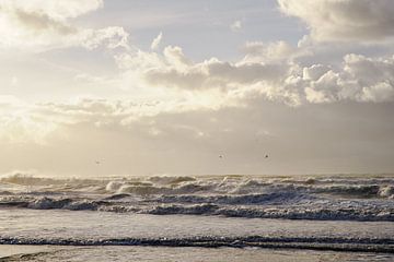 Strandleven! van Dirk van Egmond