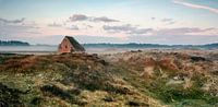 Sheep pen on Texel by Ronald Timmer thumbnail