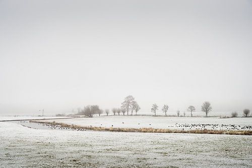 Rivierenlandschap in de sneeuw