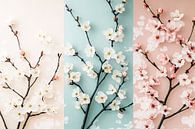 Soft blossom branches on pastel by Imperial Art House thumbnail