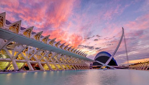 City of Arts and Sciences - Valencia, Spain