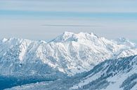 Nebelhorn in de winter met sneeuw van Leo Schindzielorz thumbnail