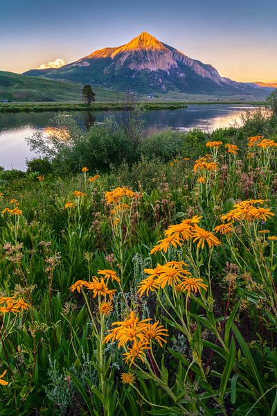 Crested Butte Summer Evening at Peanut Lake - Summer Wildflowers - Colorado Mountain Landscape Photography by Daniel Forster
