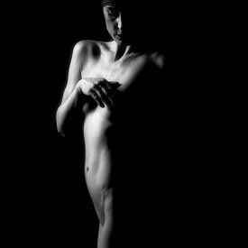 Vrouwelijke naakt, erotiek van Henk Elshout