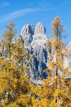 Mountain landscape "Bischofsmütze in autumn" by Coen Weesjes