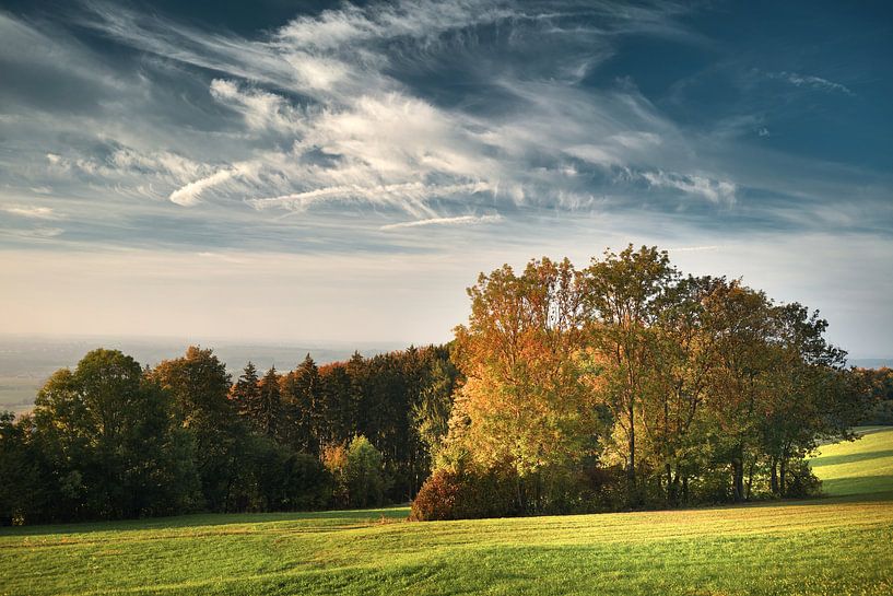 Leuchtende Bäume im Herbst von Max Schiefele