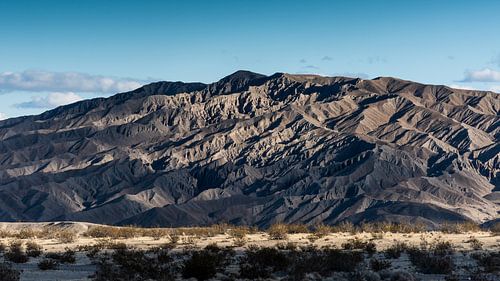 Mojave woestijn -5