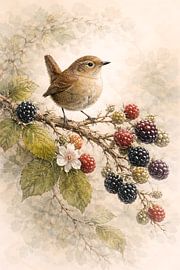 Bramen en winterkoninkjes - botanische vogelstudies van Skarvaan by Benedict Gertz