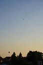 3 hot air balloons van Claudia Schot thumbnail