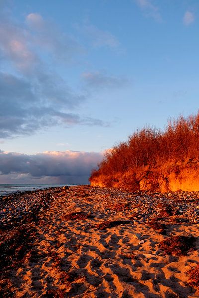 Winter evening sun by Ostsee Bilder