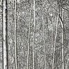 Winterbäume von Hanneke Luit