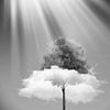 Een zwart-wit foto van een wolk die door een boom gaat van Dreamy Faces