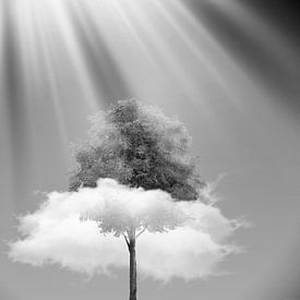 Een zwart-wit foto van een wolk die door een boom gaat van Dreamy Faces
