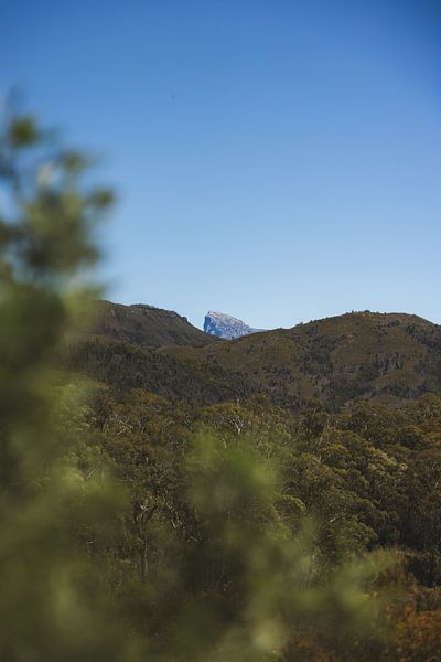 Mount Field: Jewel of Tasmania's Wilderness by Ken Tempelers