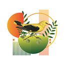 Of Birds and Shapes van Marja van den Hurk thumbnail
