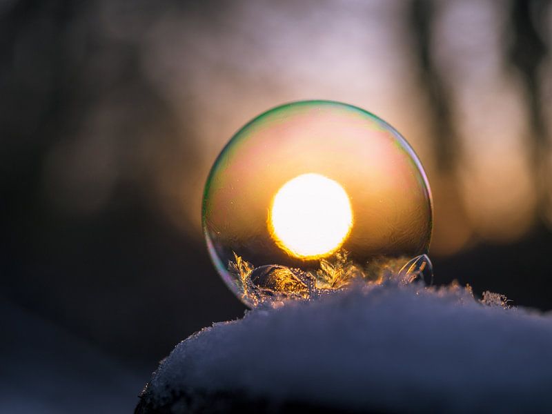 Sun caught in freezing ice bubble by Tommy de Wever