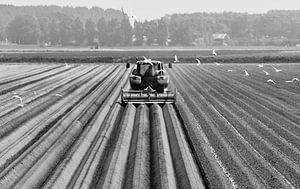 Landbouw