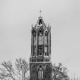Der schneebedeckte Dom von Utrecht vom Moreelsepark aus. (quadratisch, schwarz-weiß) von André Blom Fotografie Utrecht
