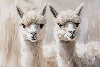 Alpaca portrait