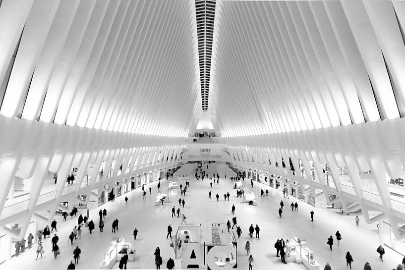 Station Oculus New York par Dennis Donders
