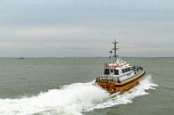 Loodsboot Lucida van MSP Canvas thumbnail