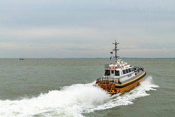 Pilot boat Lucida by MSP Canvas